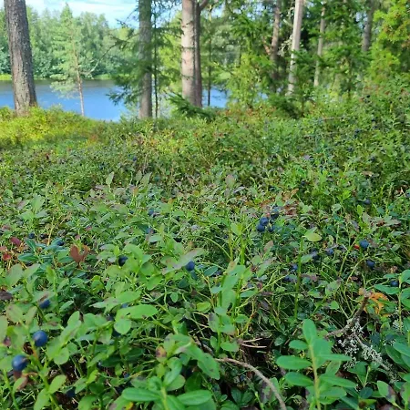 The River House & Riverside Sauna Kokkola (Karleby)